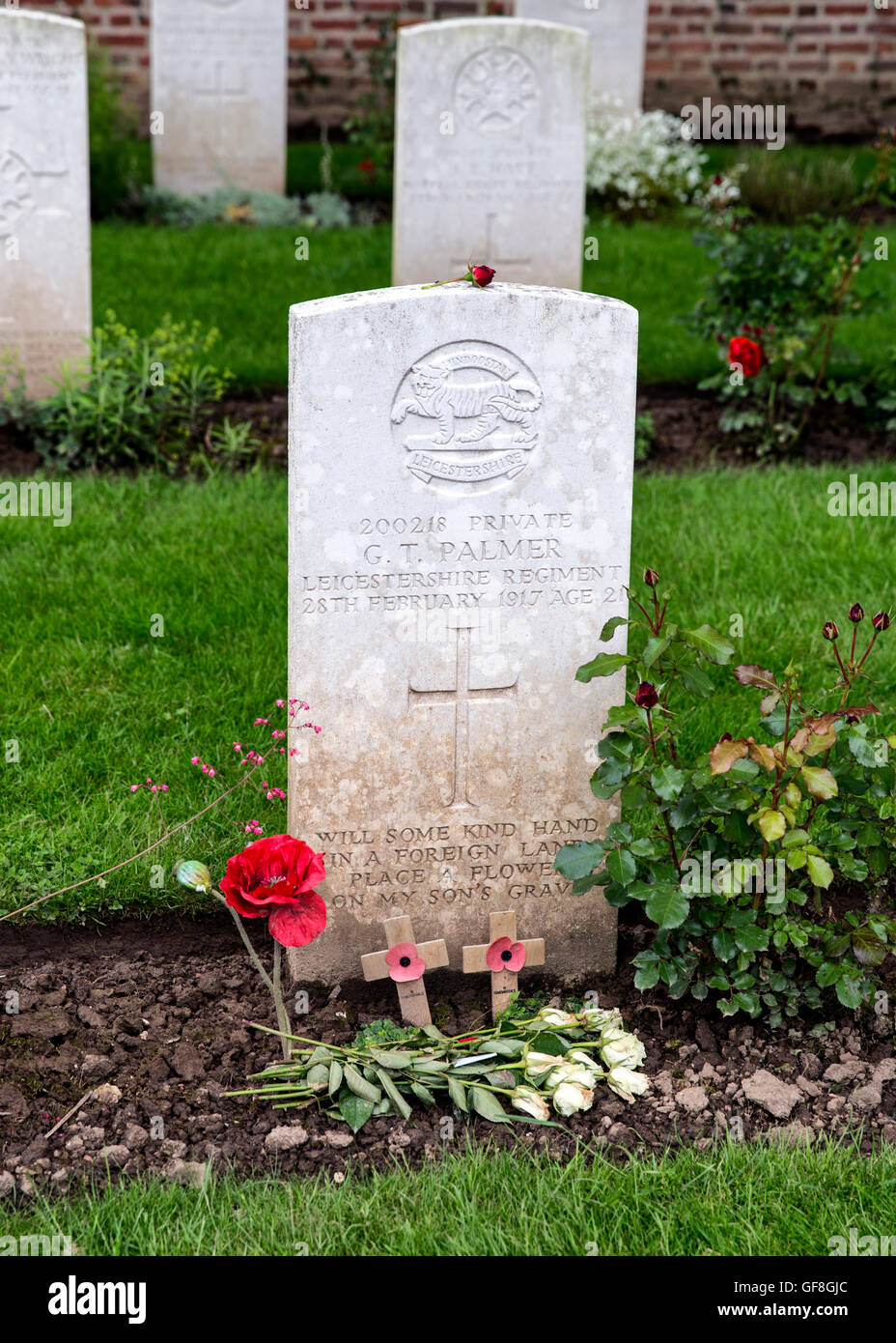 The grave of Private George Palmer in Foncquevillers Military Cemetery, France Stock Photo