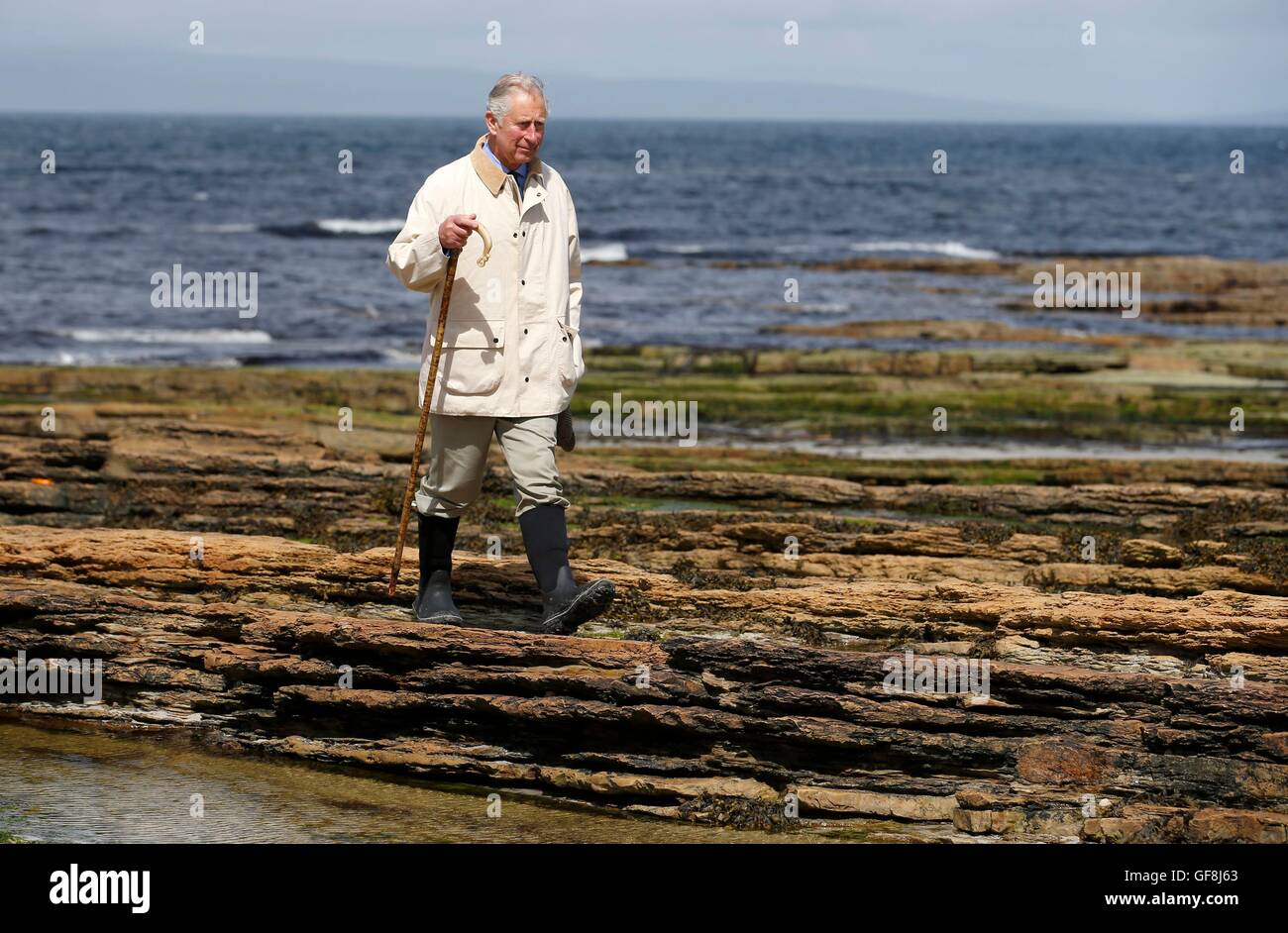 The Prince of Wales, known as the Duke of Rothesay while in Scotland, walks on the beach near Castle Mey, to watch staff from New Wave Foods, a new business based in Wick, harvest edible seaweed from the beach. Stock Photo