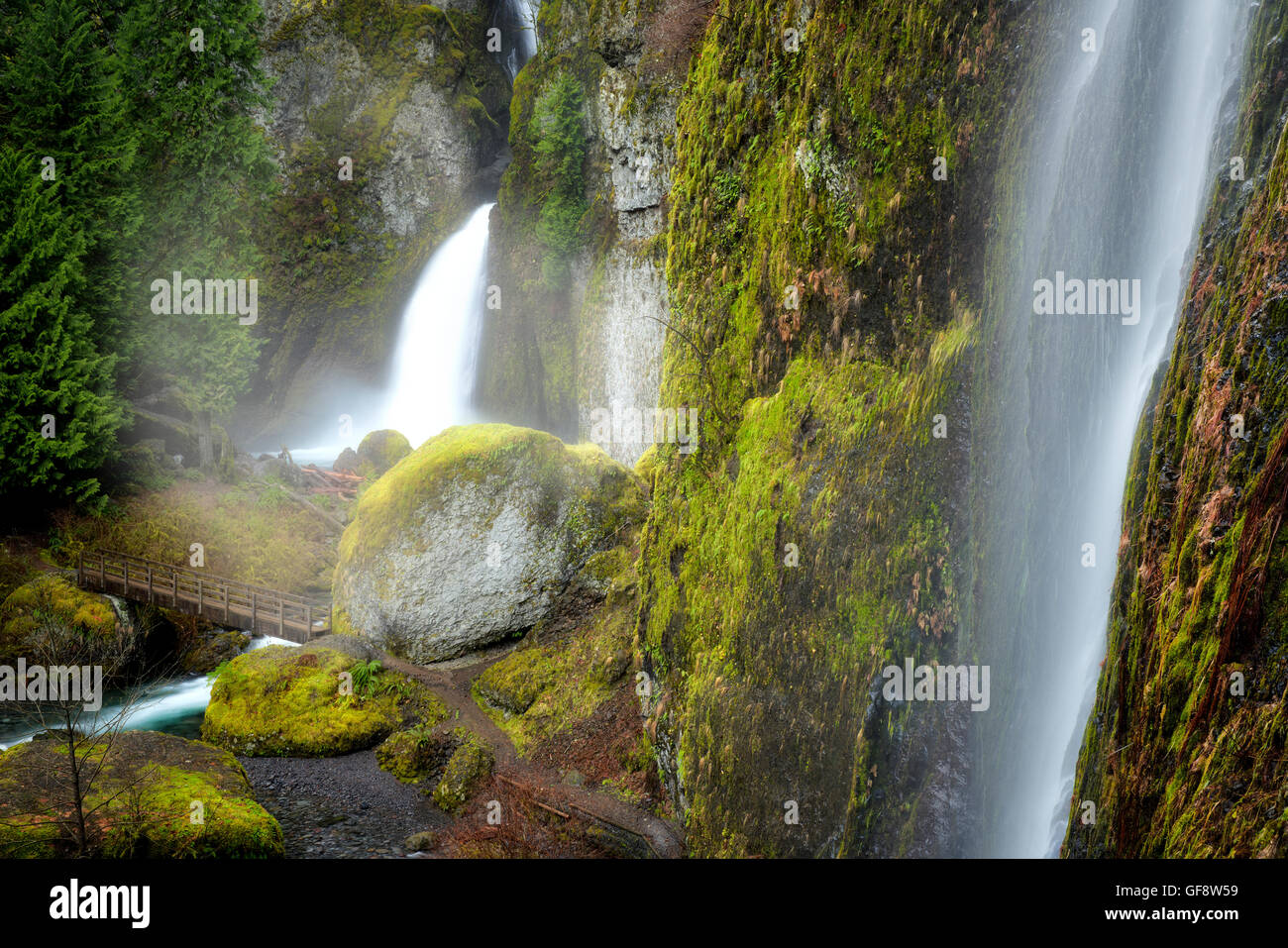 Wahclella Falls, also called Tanner Creek Falls. Columbia River Gorge National Scenic Area, Oregon Stock Photo