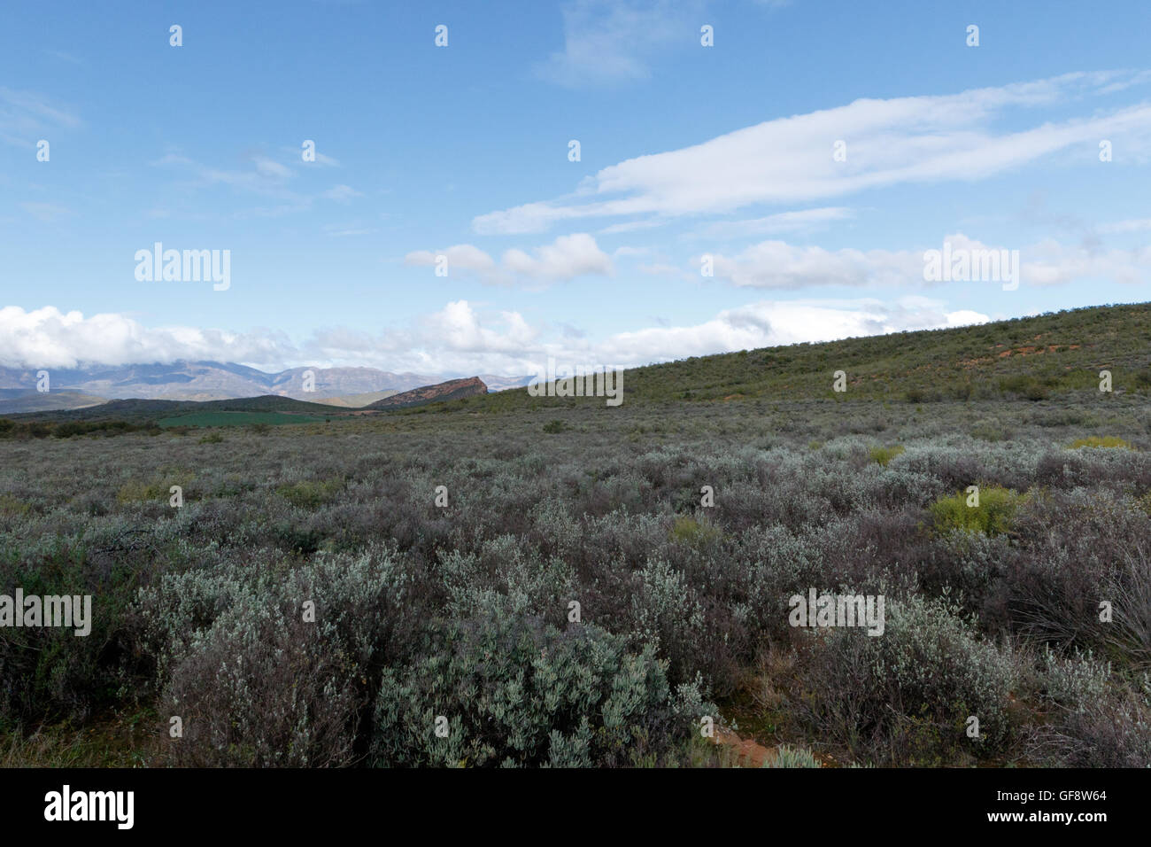 Looking Down To The Mountain Oudtshoorn, the ostrich capital of the