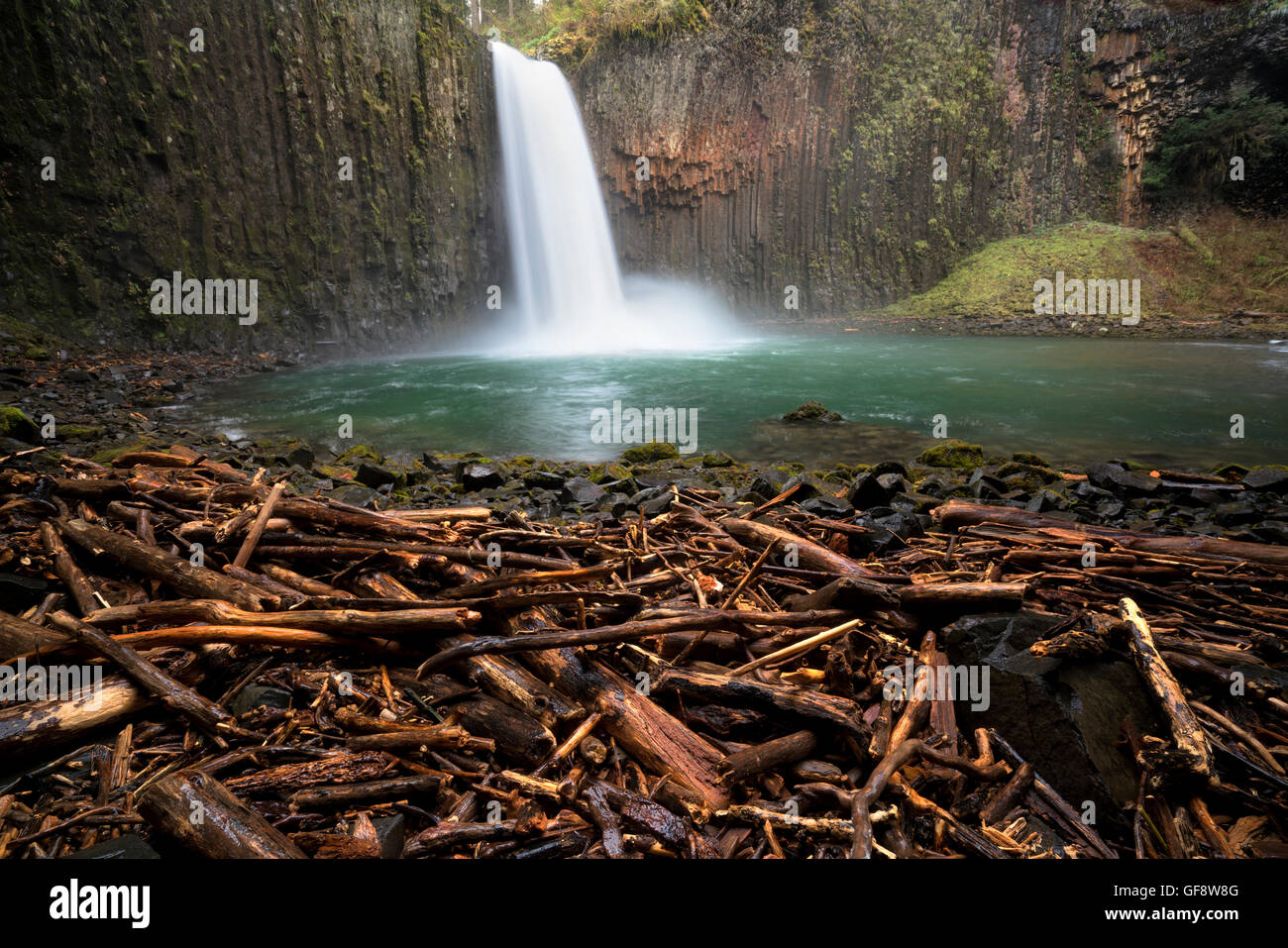 Abiqua Falls with driftwood. Oregon Stock Photo