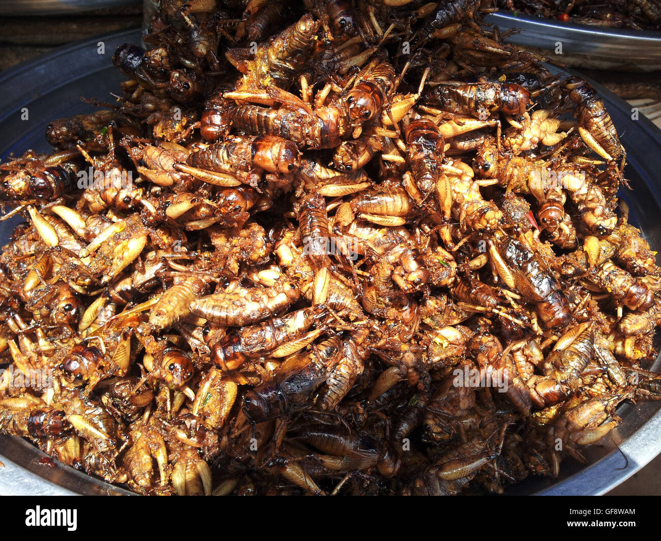 Cambodian fried insects hi-res stock photography and images - Alamy