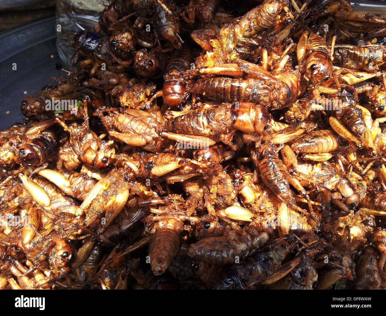 Cambodian fried insects hi-res stock photography and images - Alamy