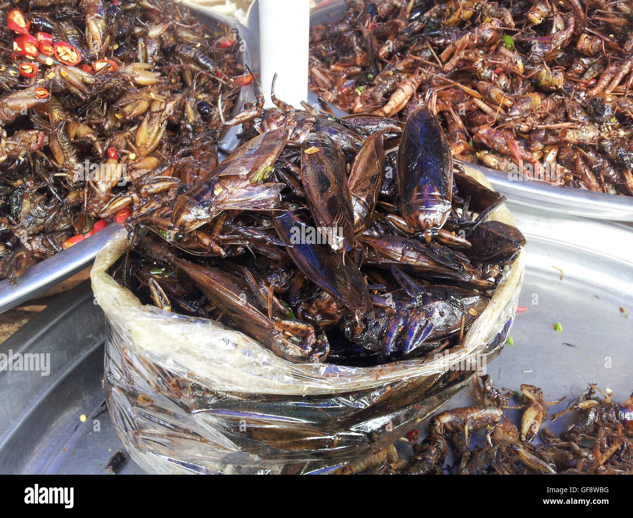 Cambodian fried insects hi-res stock photography and images - Alamy