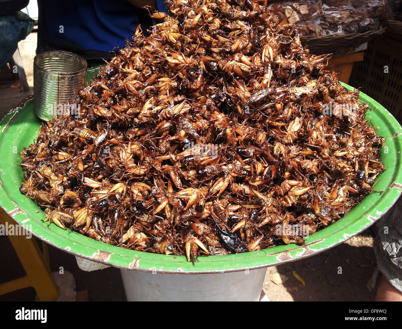 Cambodian fried insects hi-res stock photography and images - Alamy