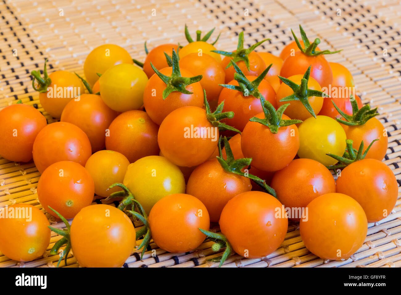 Big harvest of tomato in home garden at Los Angeles Stock Photo