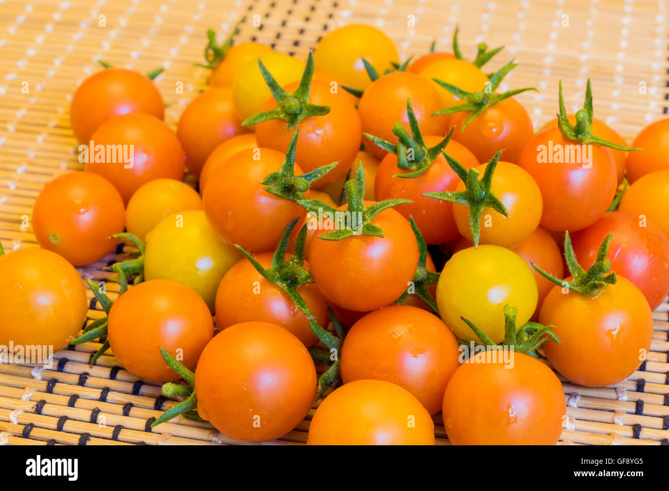 Big harvest of tomato in home garden at Los Angeles Stock Photo