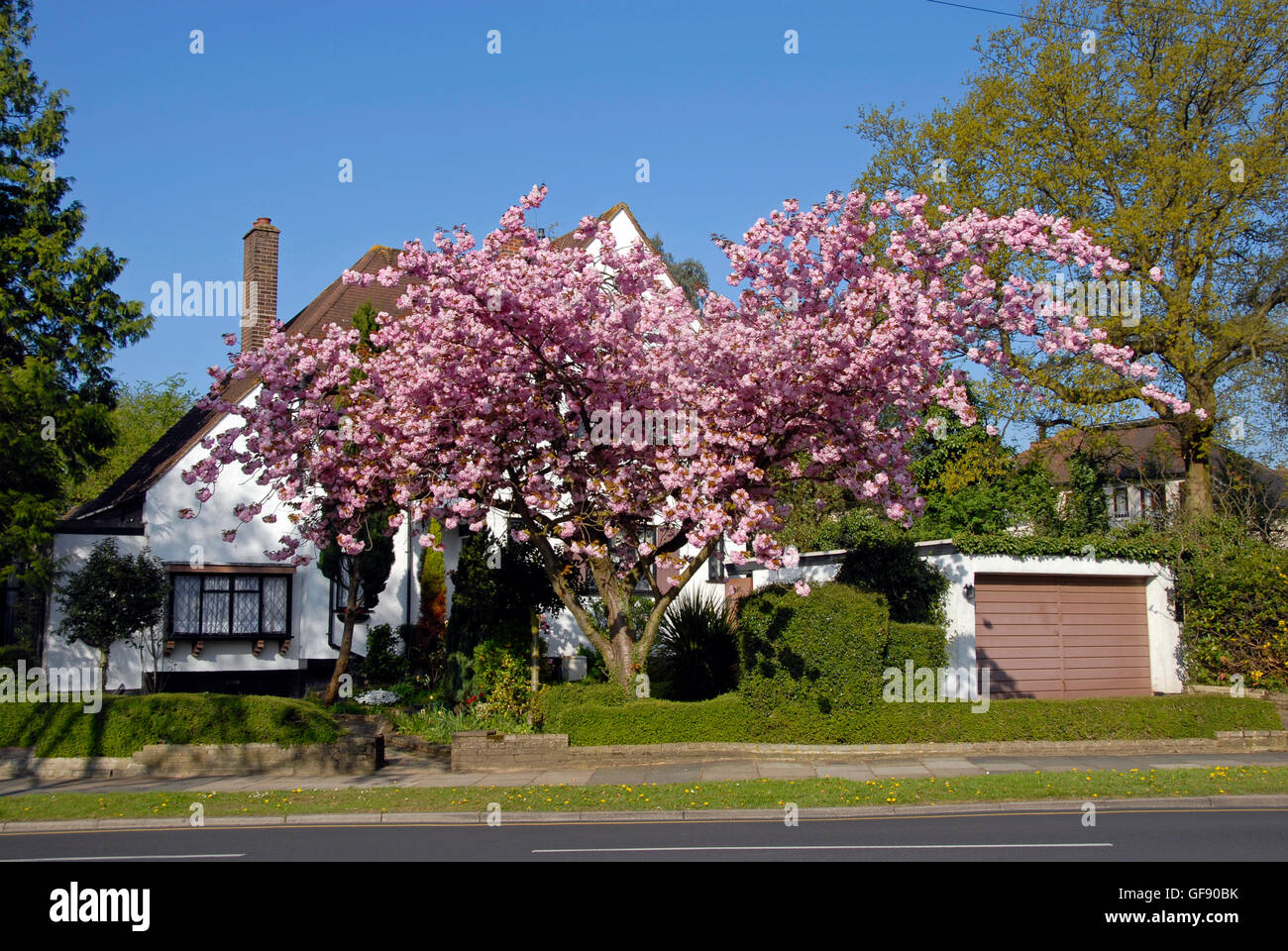 Attractive suburban home in springtime Stock Photo