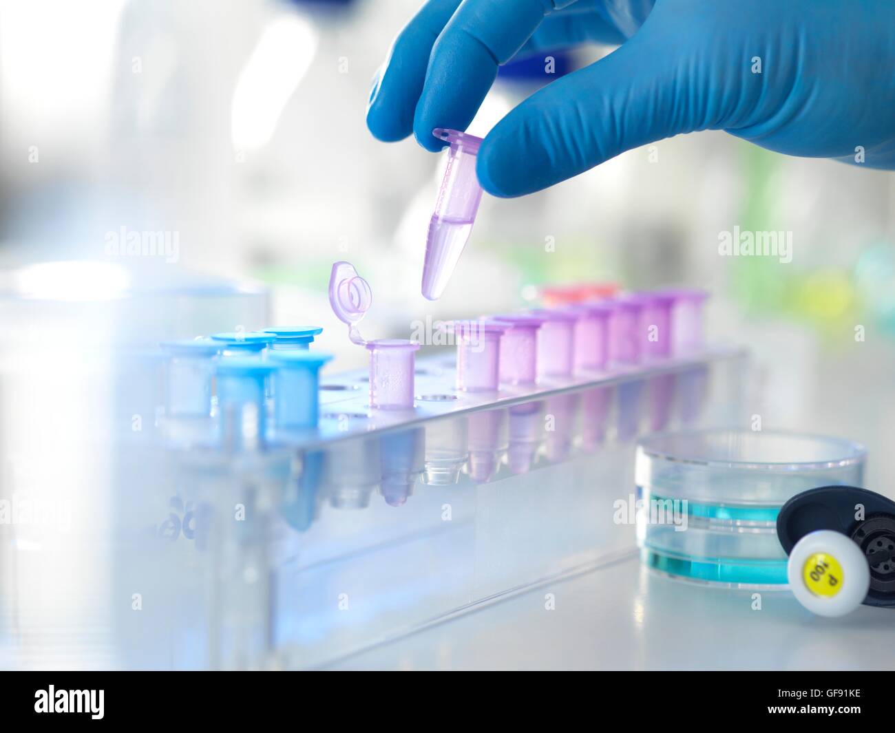 Laboratory Specimen High Resolution Stock Photography and Images Alamy