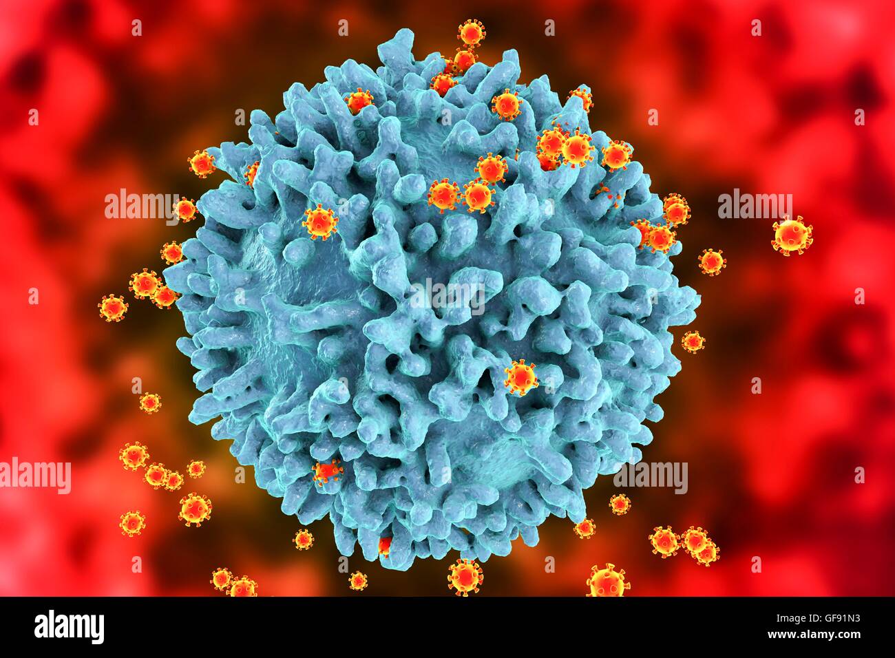 HIV viruses infecting T-lymphocytes, computer illustration. The surface of the T-cell has a lumpy appearance with large irregular surface protrusions. Smaller spherical structures on the cell surface are HIV virus particles budding away from the cell memb Stock Photo
