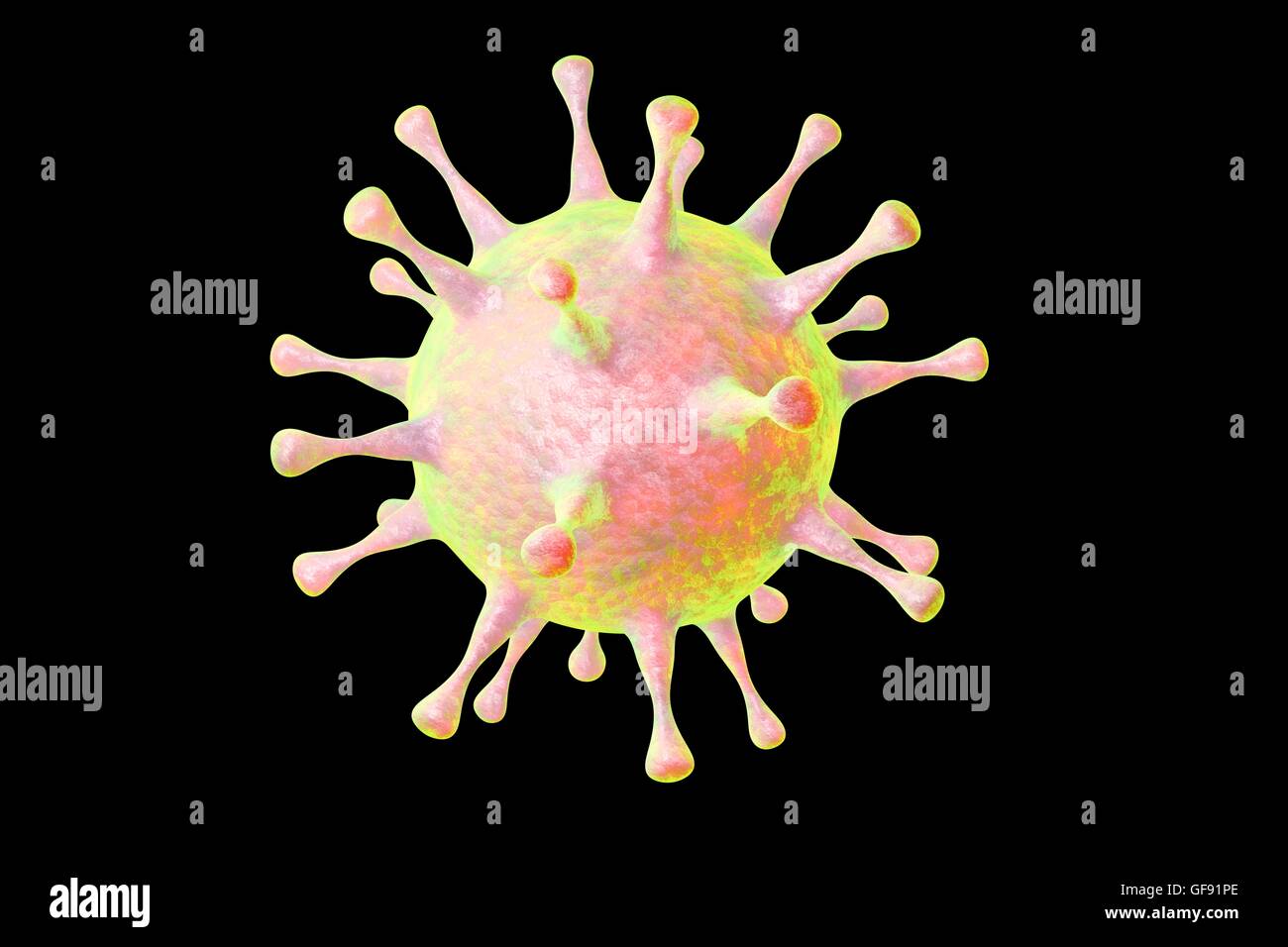 Human pathogenic virus, computer illustration. Stock Photo