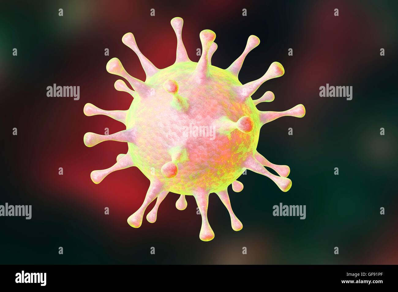 Human pathogenic virus, computer illustration. Stock Photo
