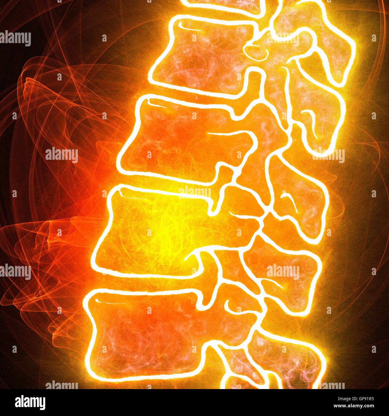 Human spine illustration hi-res stock photography and images - Alamy