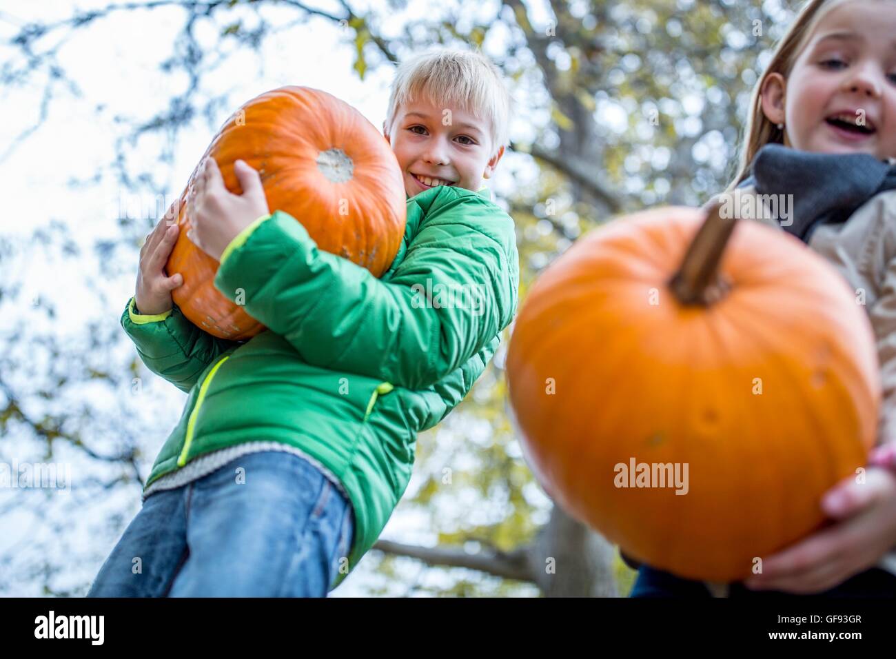 MODEL RELEASED. Children carrying pumpkins in park, smiling, portrait. Stock Photo