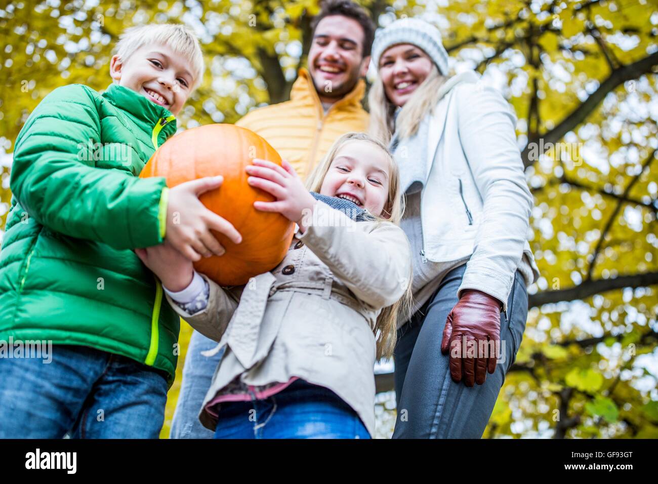 MODEL RELEASED. Children holding pumpkin while parents standing behind, smiling. Stock Photo
