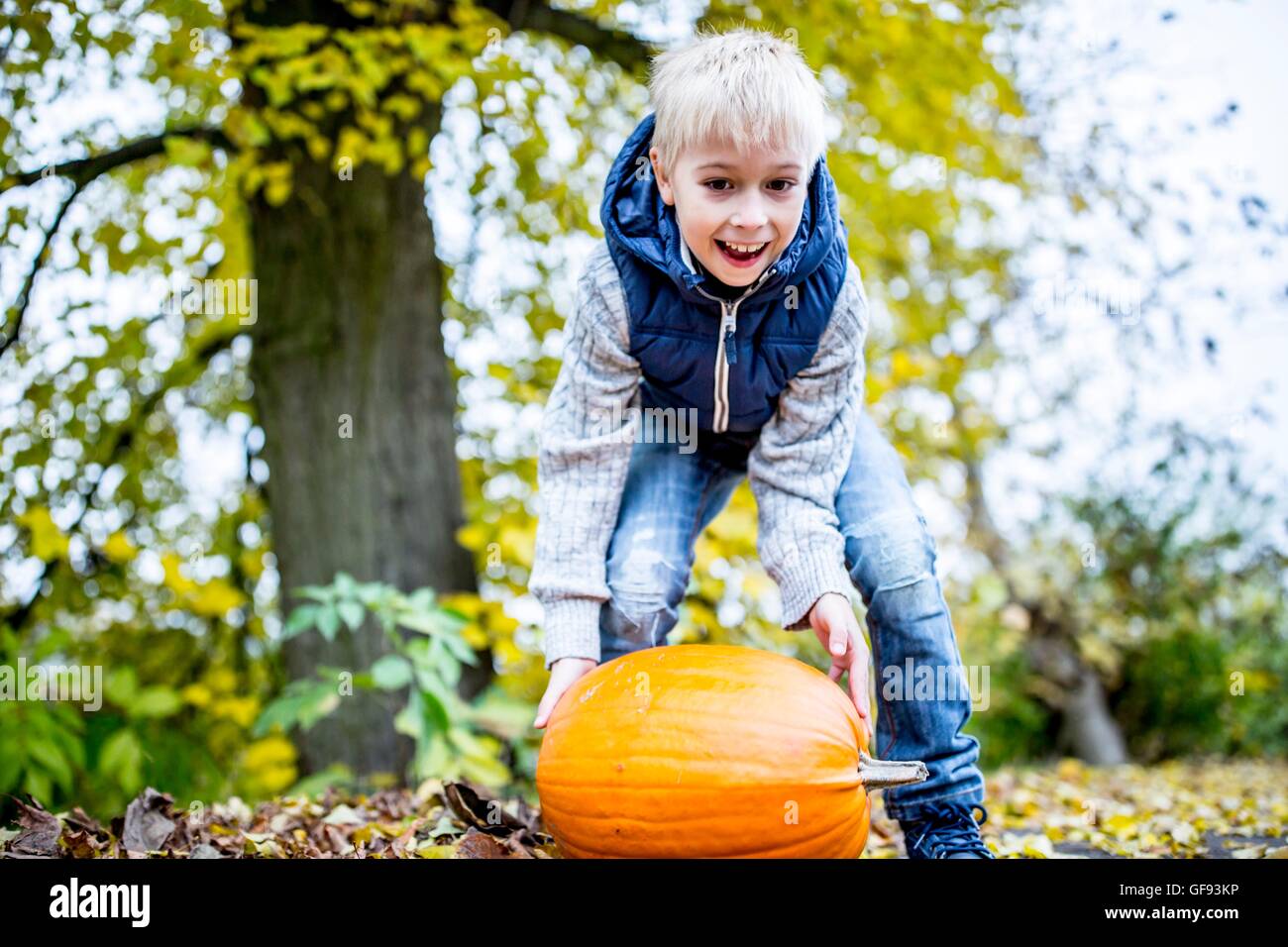MODEL RELEASED. Boy picking Halloween pumpkin. Stock Photo
