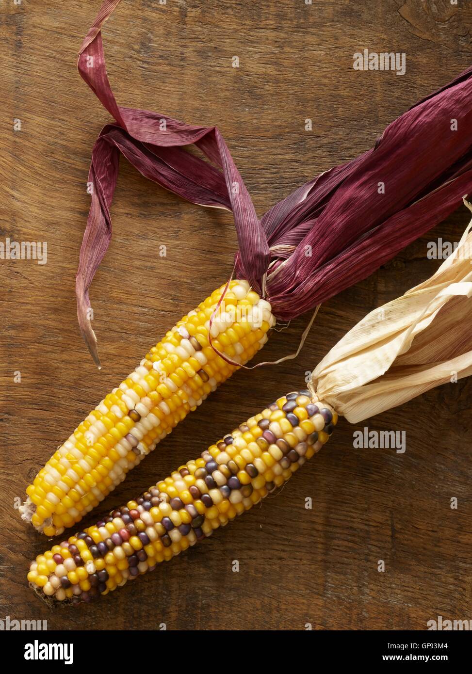 Flint corn, (Zea mays indurata), still life. Stock Photo