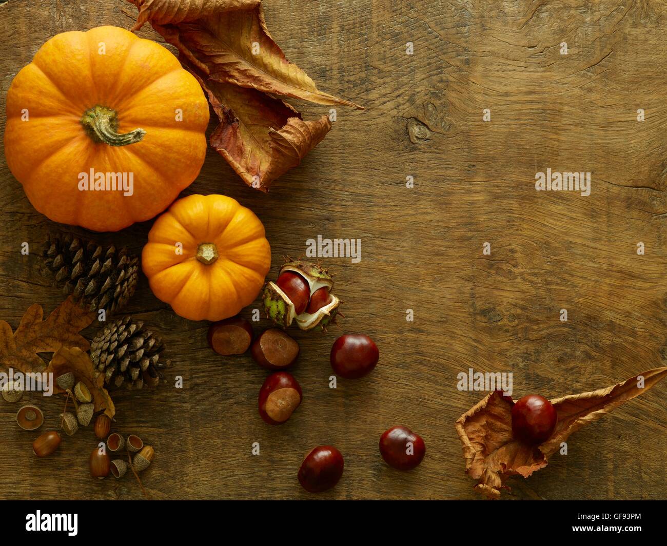 Pumpkins, pine cones, conkers and autumn leaves, still life. Stock Photo