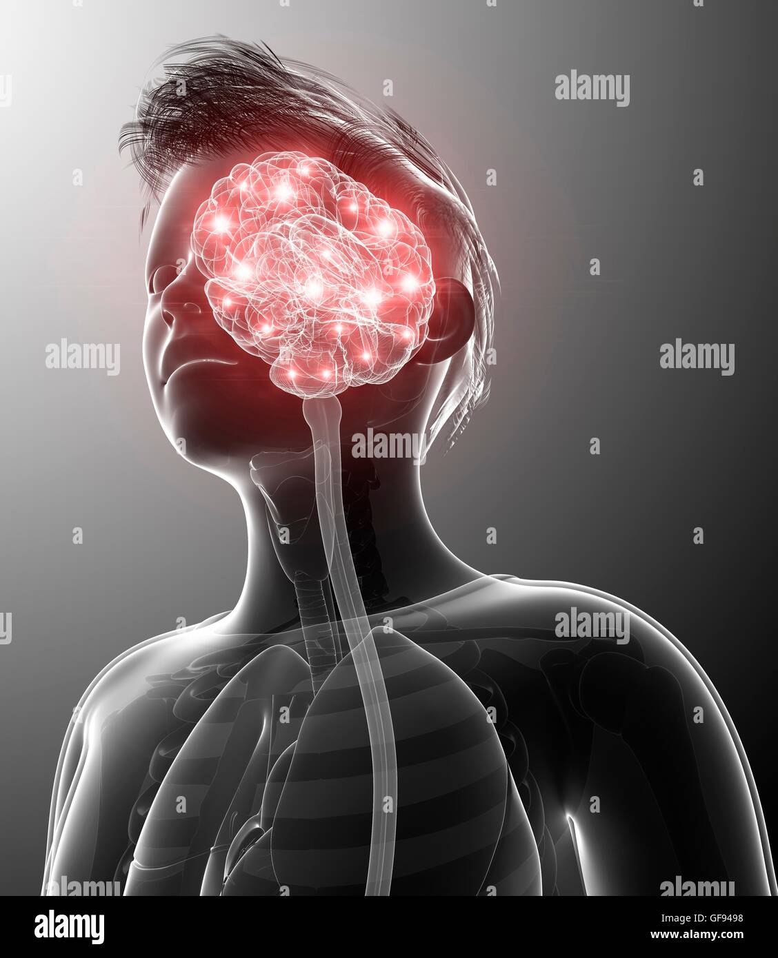 Illustration of human brain activity Stock Photo Alamy
