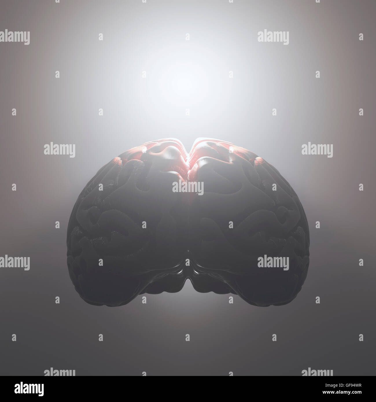 Human brain against grey background, illustration. Stock Photo