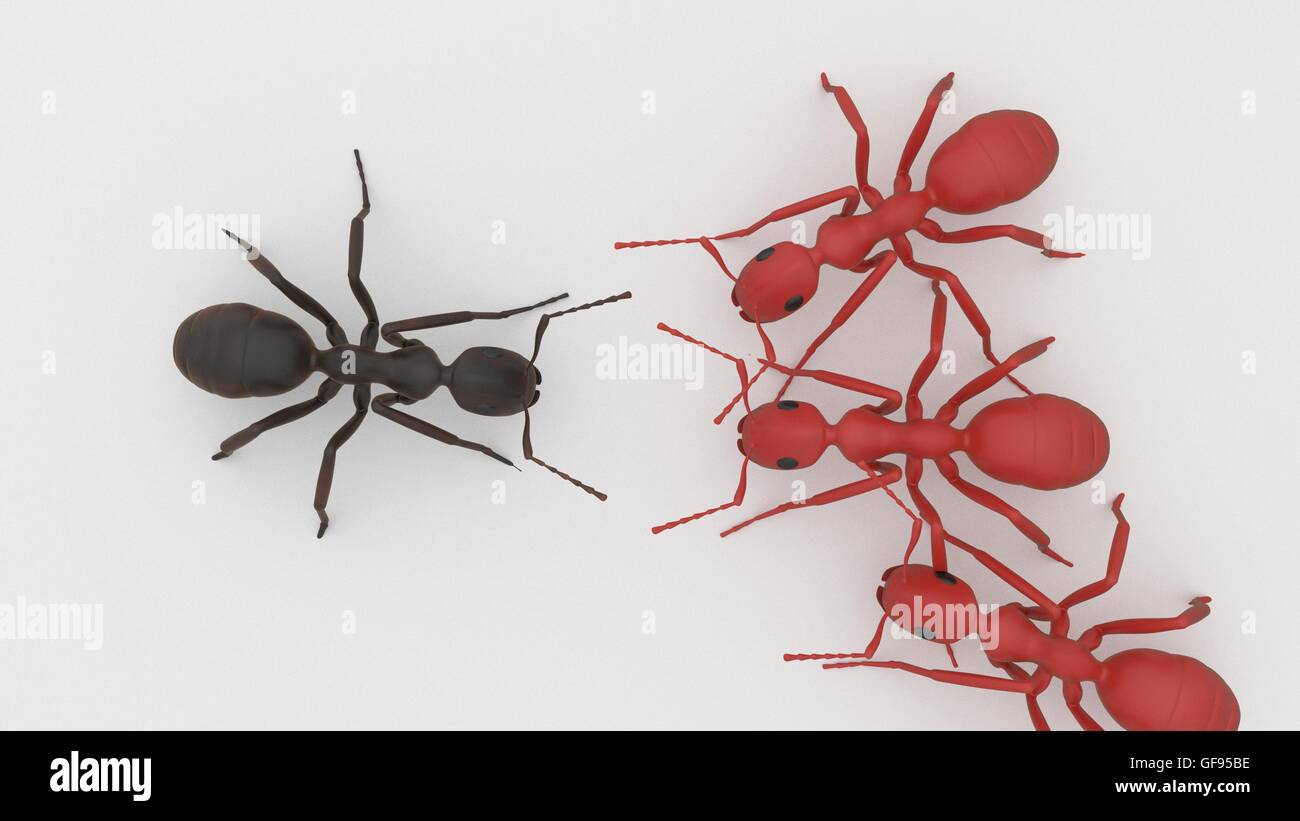 red ants ganging up on black ant 3d render Stock Photo