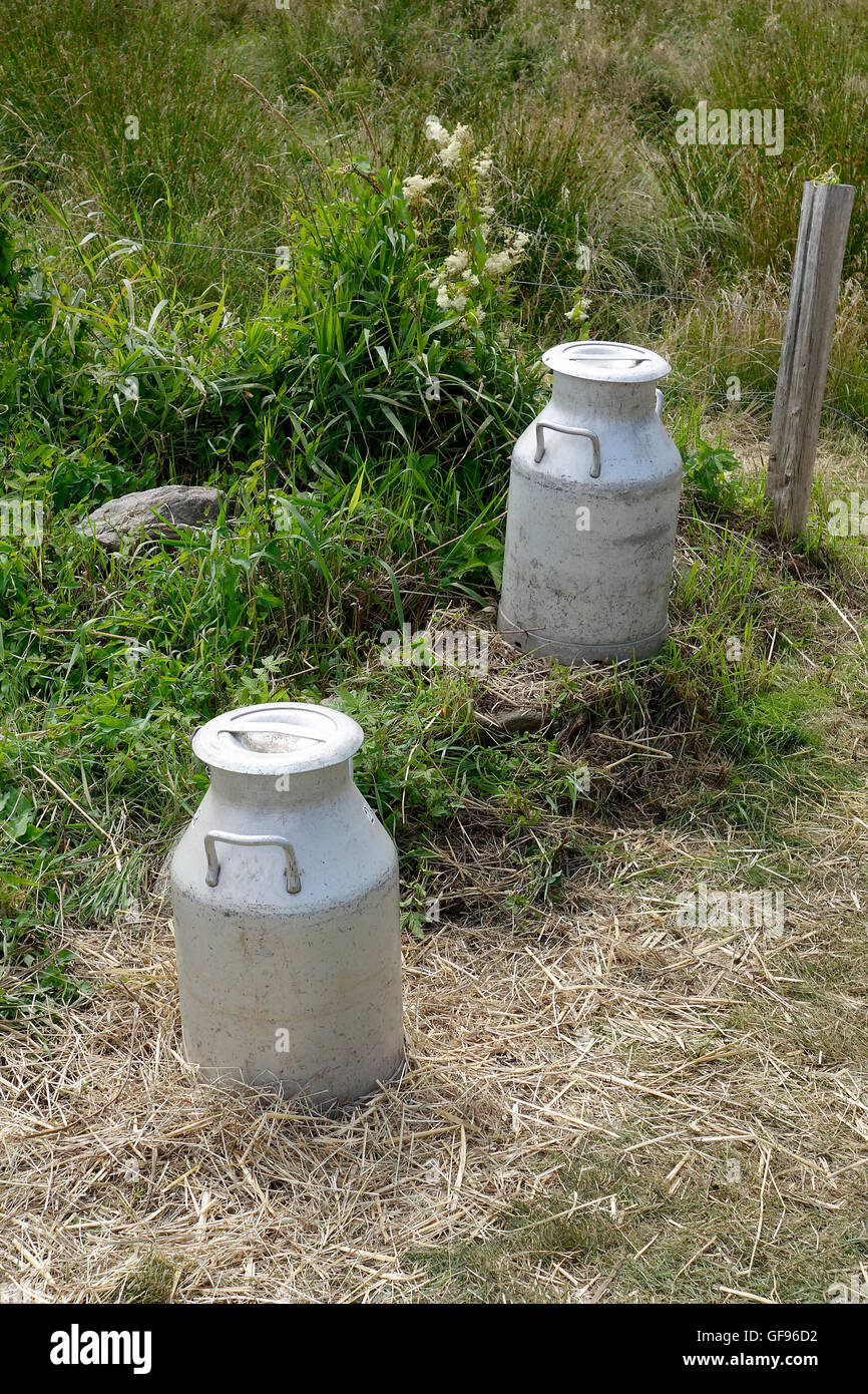 Two milk canisters in grass. Stock Photo