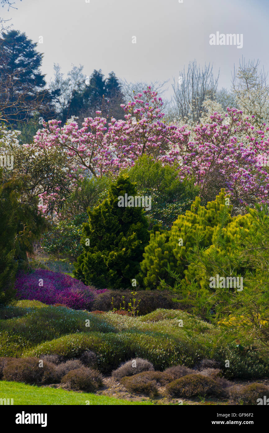 Sir Harold Hillier Gardens. Romsey, Hampshire, England Stock Photo Alamy