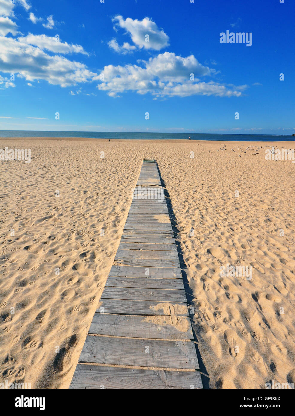 Wooden path on coast hi-res stock photography and images - Alamy