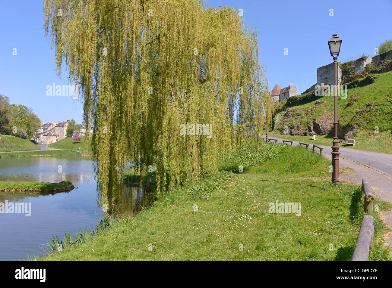 Pond and weeping willow at Falaise, a commune in the Calvados department in the Basse-Normandie region in northwestern France Stock Photo