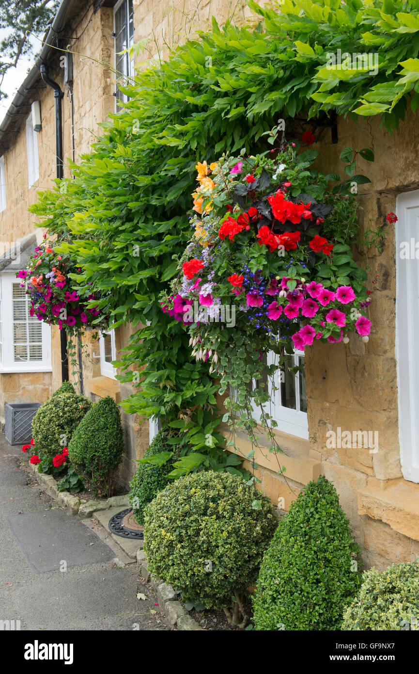 Hanging basket and clipped box hedge plants outside a cottage. Broadway, Cotswolds, Worcestershire, England Stock Photo