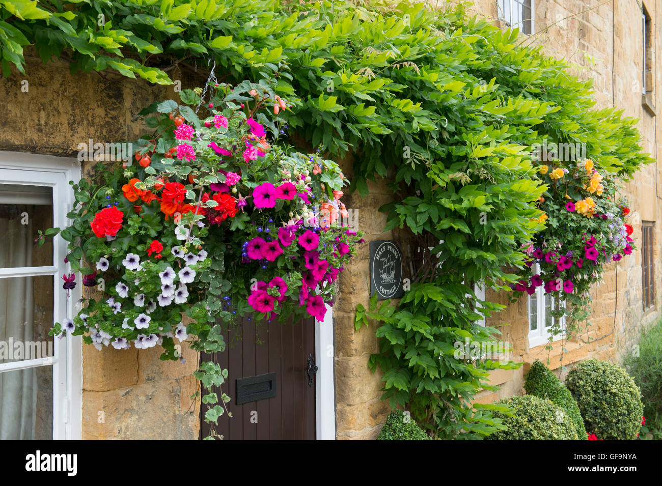 Hanging basket and clipped box hedge plants outside a cottage. Broadway, Cotswolds, Worcestershire, England Stock Photo