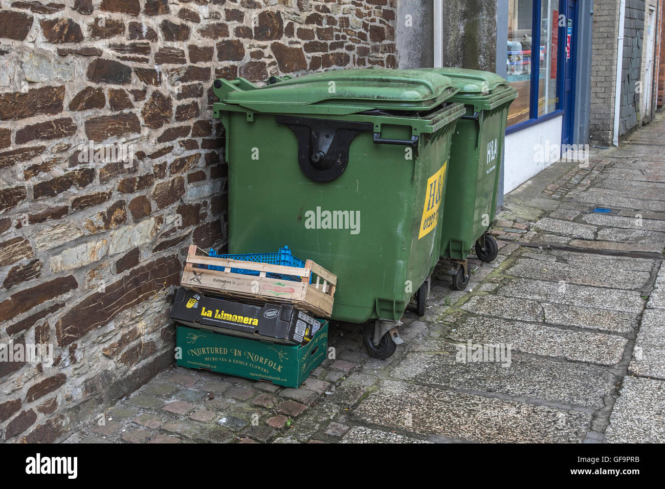 A couple of industrial recycling wheely bins and waste boxes outside a