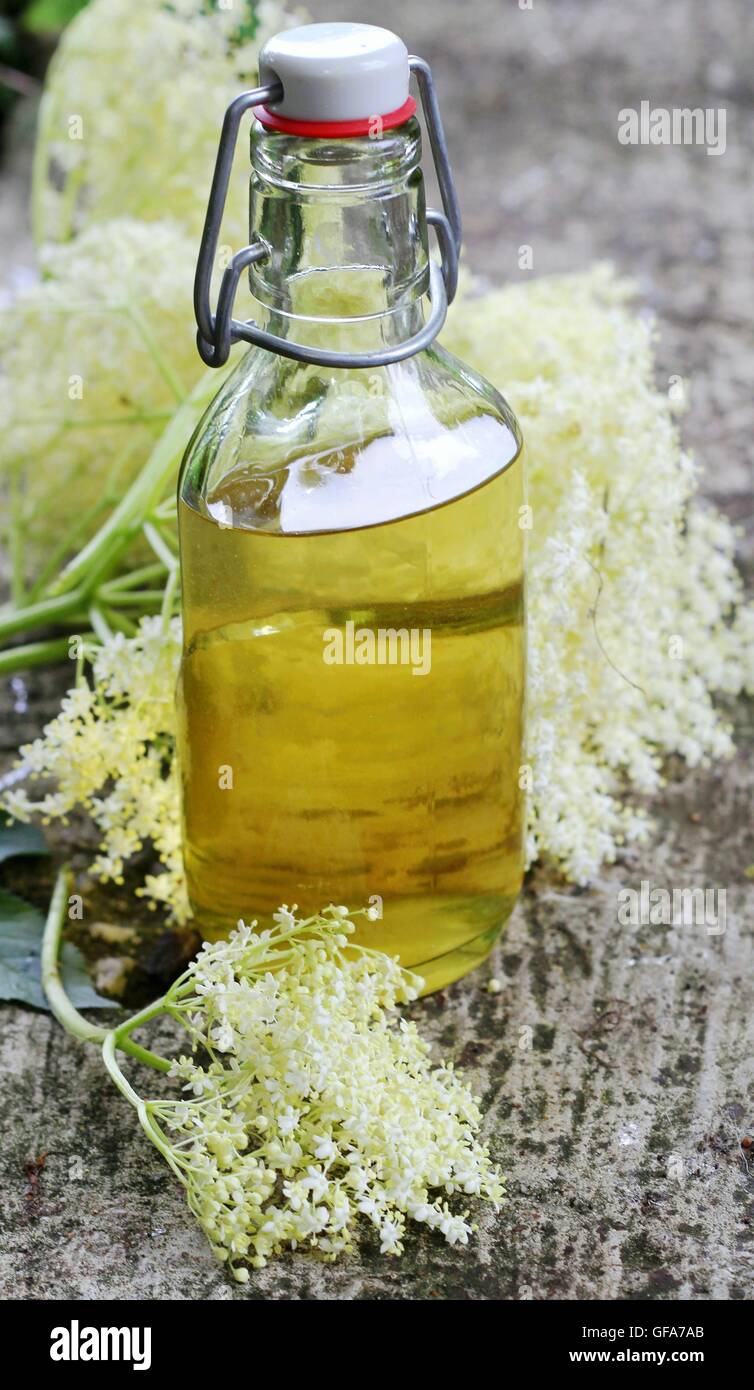 Elderflower syrup (sambucus nigra) - natural medicine Stock Photo