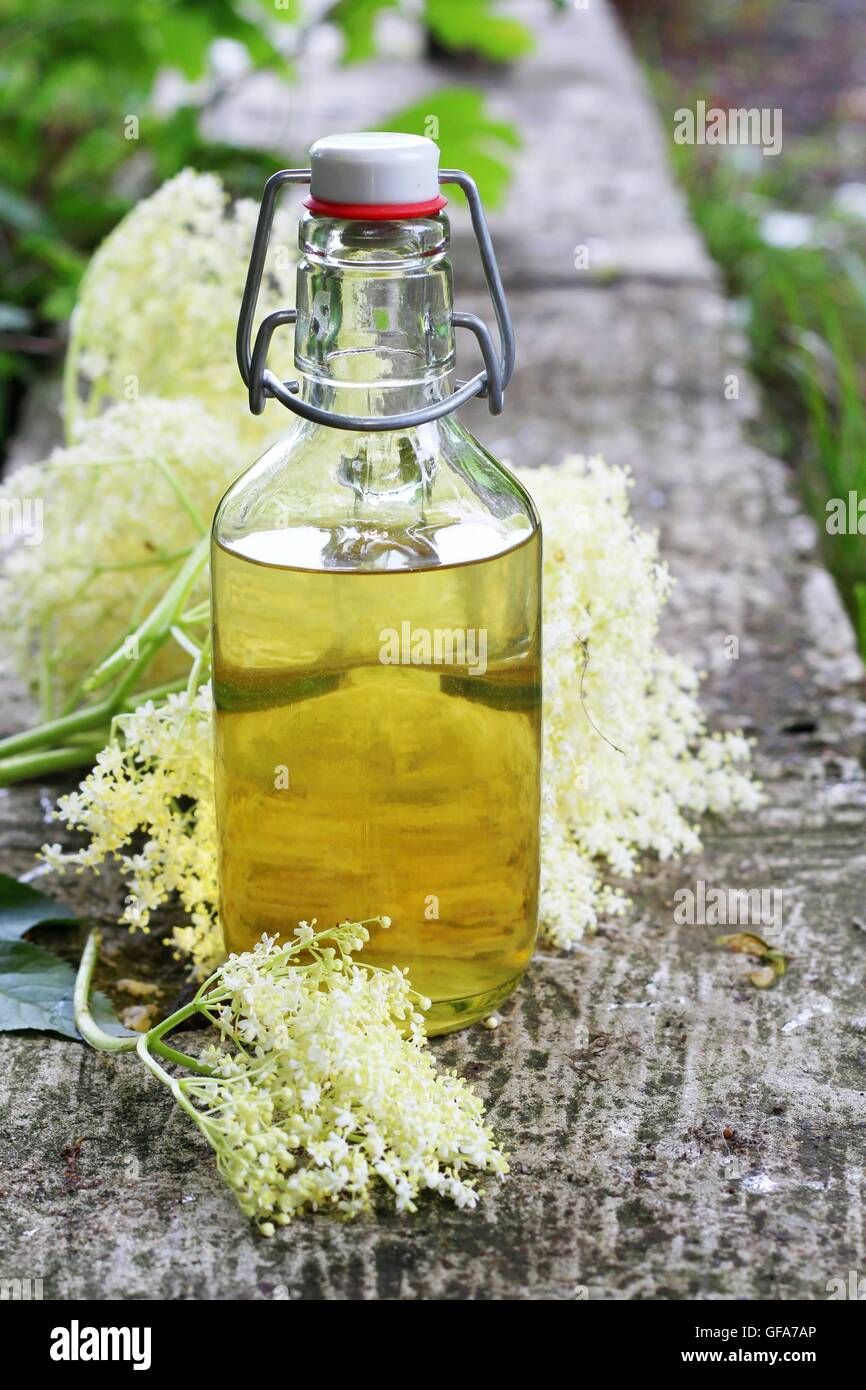 Elderflower syrup (sambucus nigra) - natural medicine Stock Photo