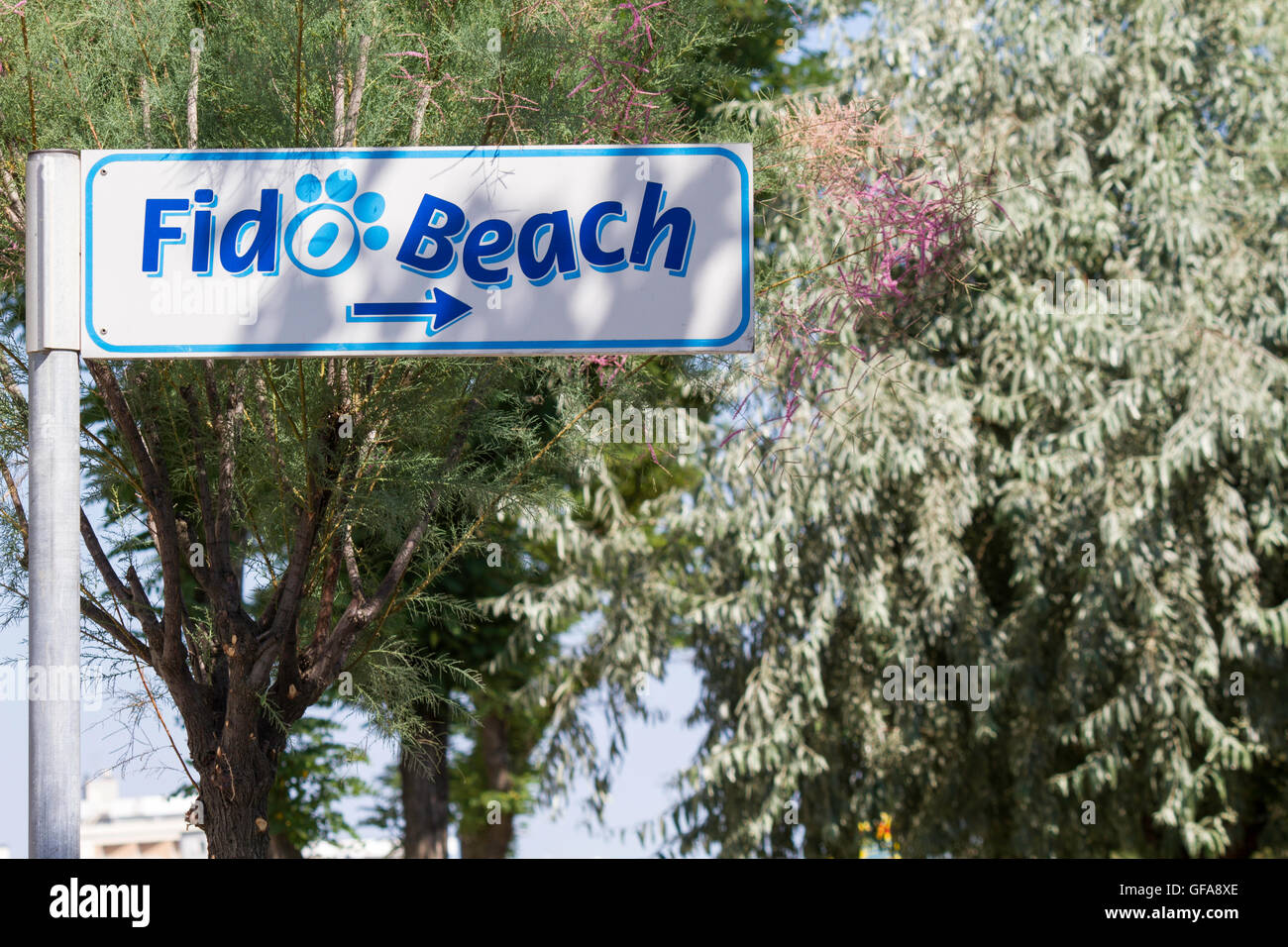 sign indication to dog beach, Adriatic Rimini Italy Stock Photo