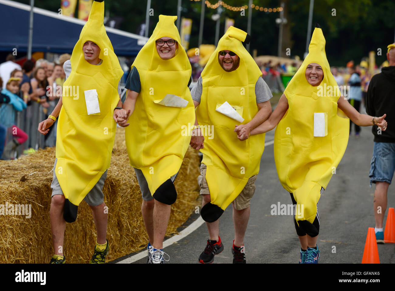 Carfest North, Bolesworth, Cheshire, UK. 30th July, 2016. Four competitors dressed as bananas completing the Great Festival Dash fun run in aid of Children In Need. The event is the brainchild of Chris Evans and features 3 days of cars, music and entertainment with profits being donated to the charity Children in Need. Credit:  Andrew Paterson/Alamy Live News Stock Photo