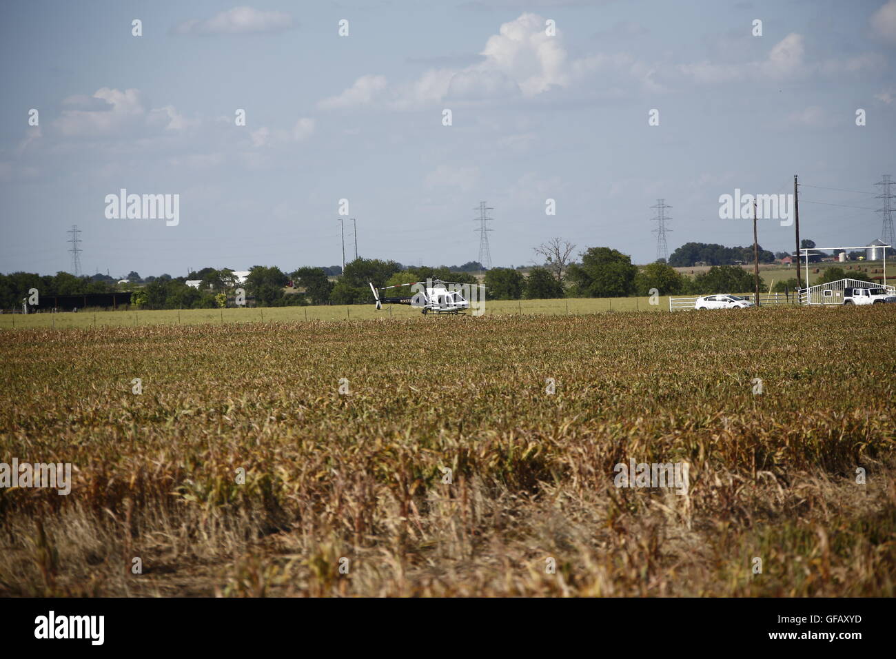 (160731) -- LOCKHART, July 31, 2016 (Xinhua) -- A helicopter is seen at the site of a balloon crash accident near Lockhart, a city in the central part of the U.S. state of Texas, July 30, 2016. U.S. Texas Department of PUBLIC Safety has confirmed that 16 people were killed on Saturday morning after a hot air balloon caught on fire and crashed near Lockhart. The accident occurred shortly after 7:40 a.m. local time on Saturday near Lockhart, when the hot air balloon with at least 16 people on board crashed into a pasture, the Federal Aviation Administration (FAA) said in a statement on Saturday. Stock Photo