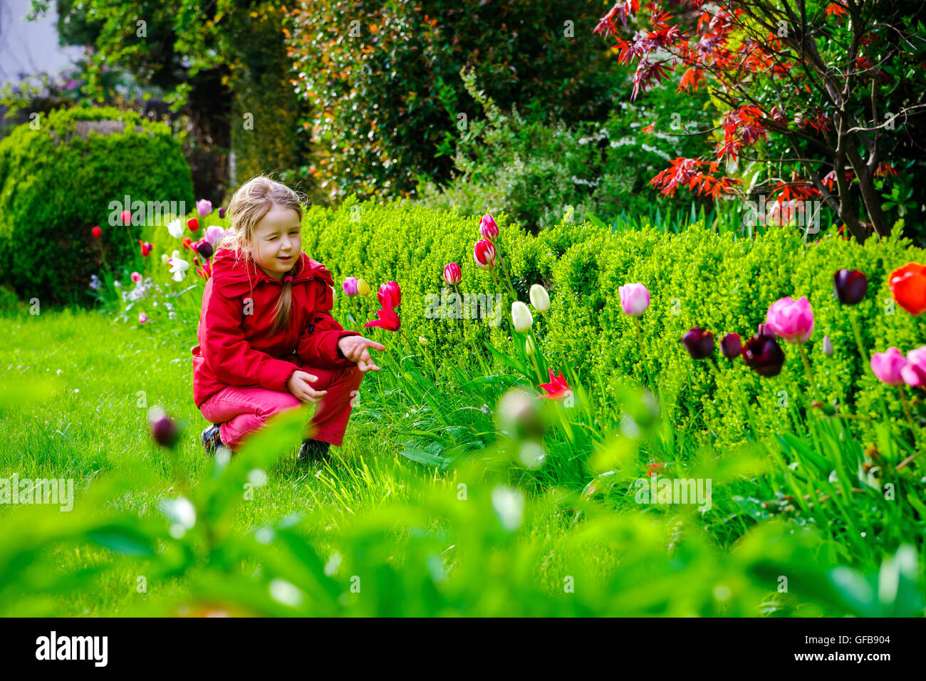 Little girl smelling tulips in the garden, spring time Stock Photo - Alamy