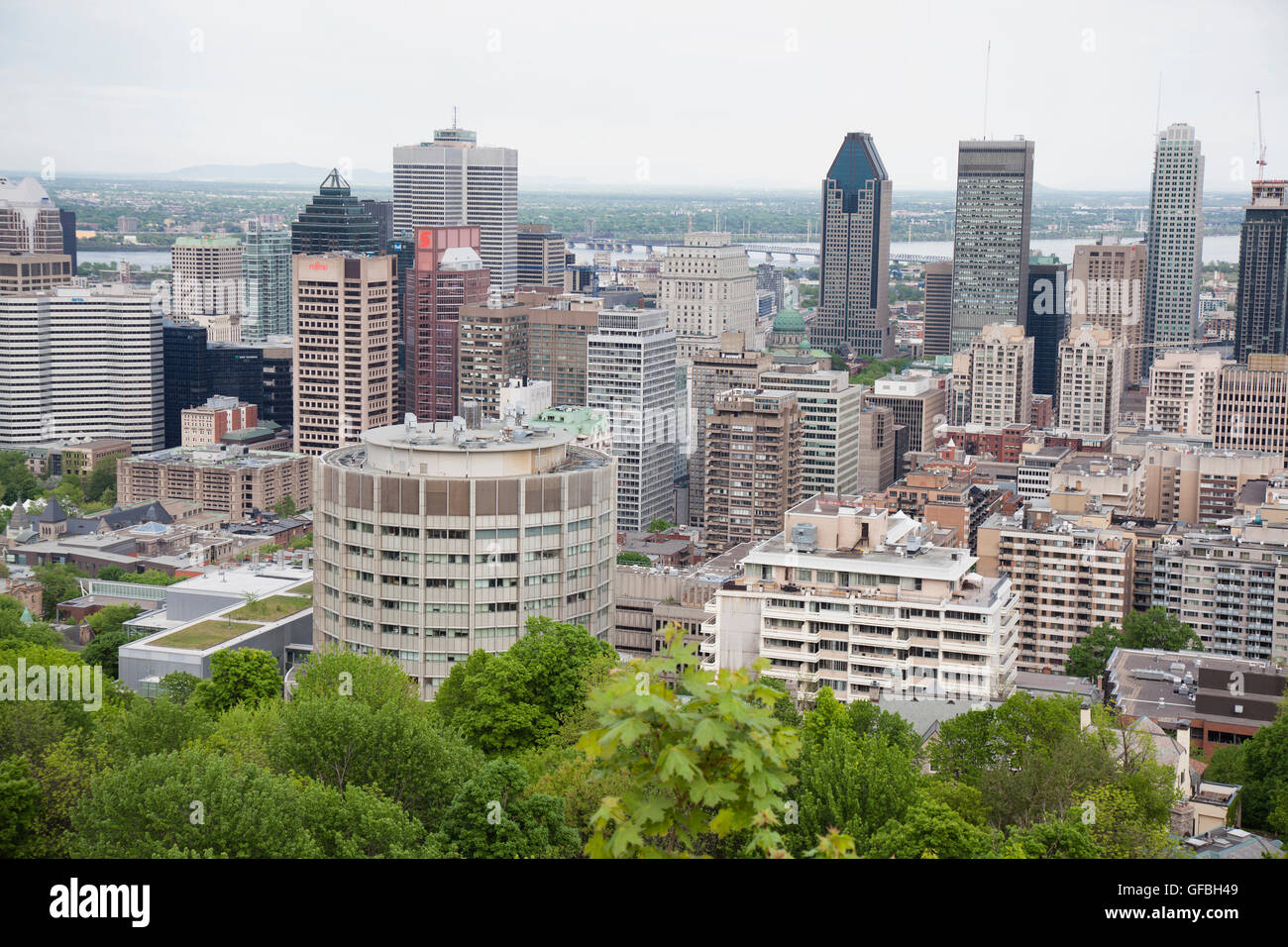 MONTREAL - MAY 26, 2016: View of downtown Montreal from the top of Mont Royal Park. Stock Photo