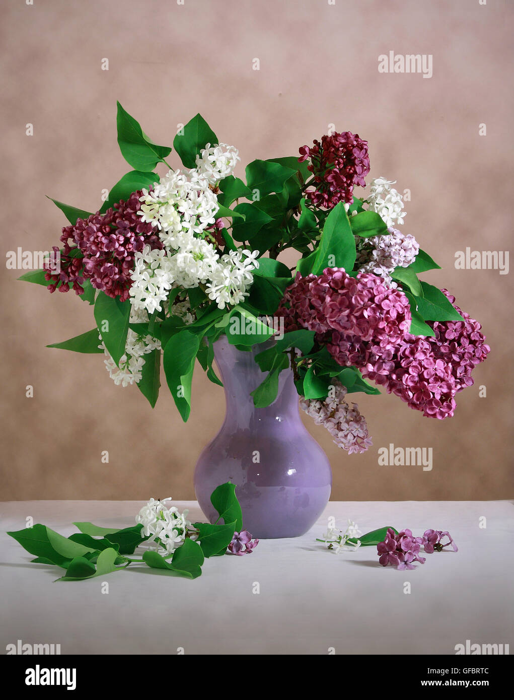 purple and white lilacs still life Stock Photo - Alamy