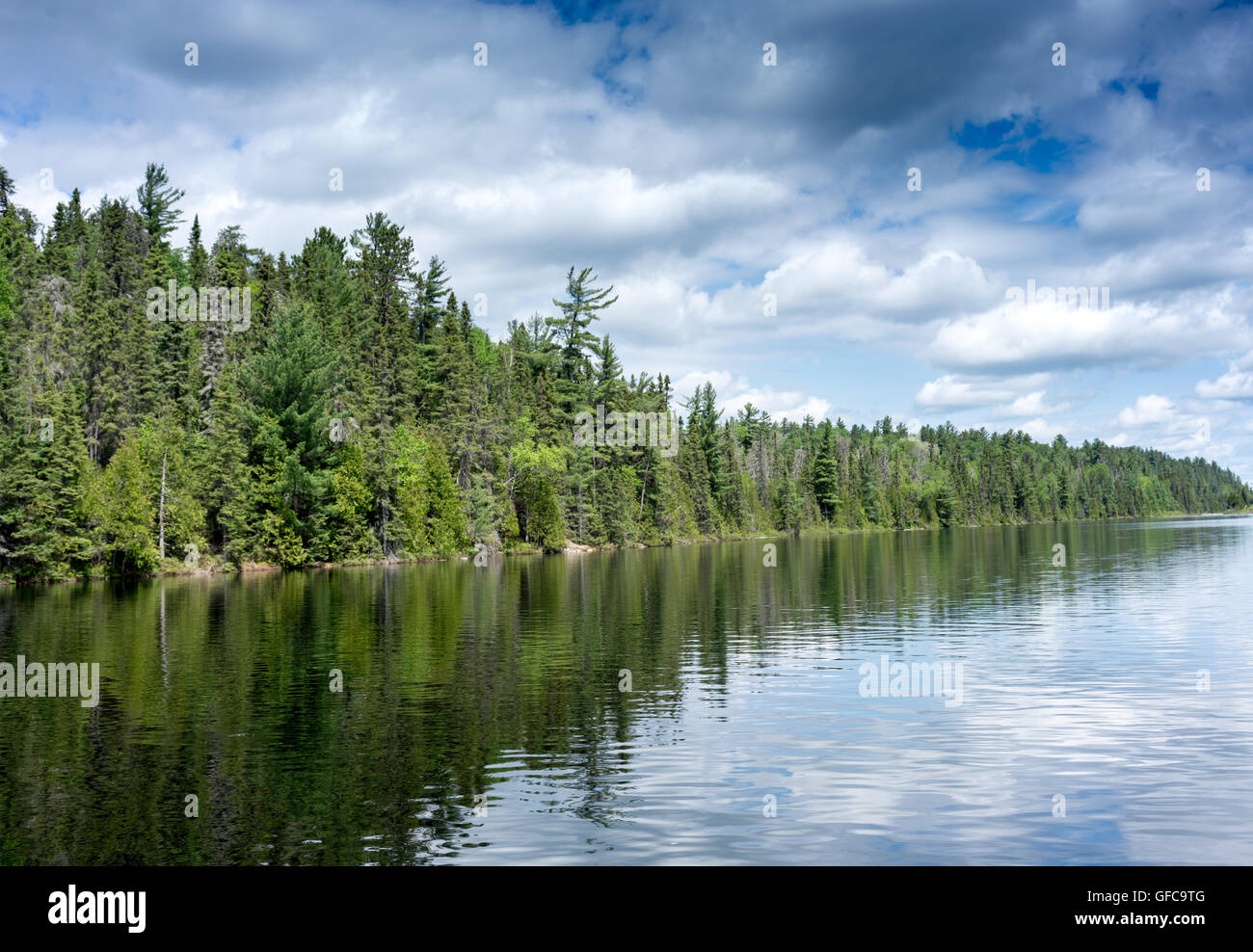 contryside ontario canada nature lake forest Stock Photo