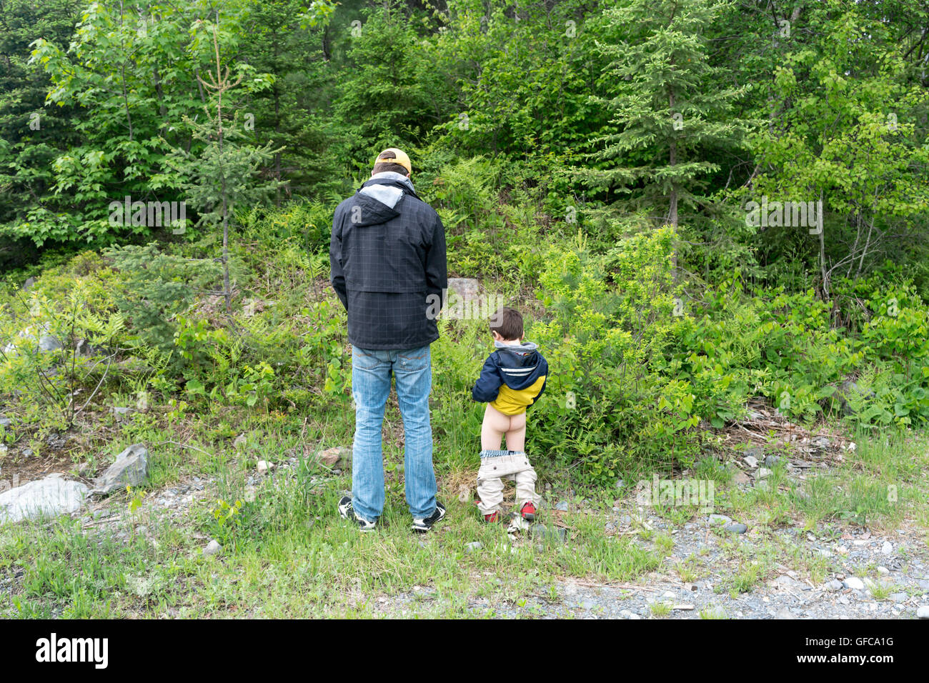 father and son peing in the woods Stock Photo - Alamy