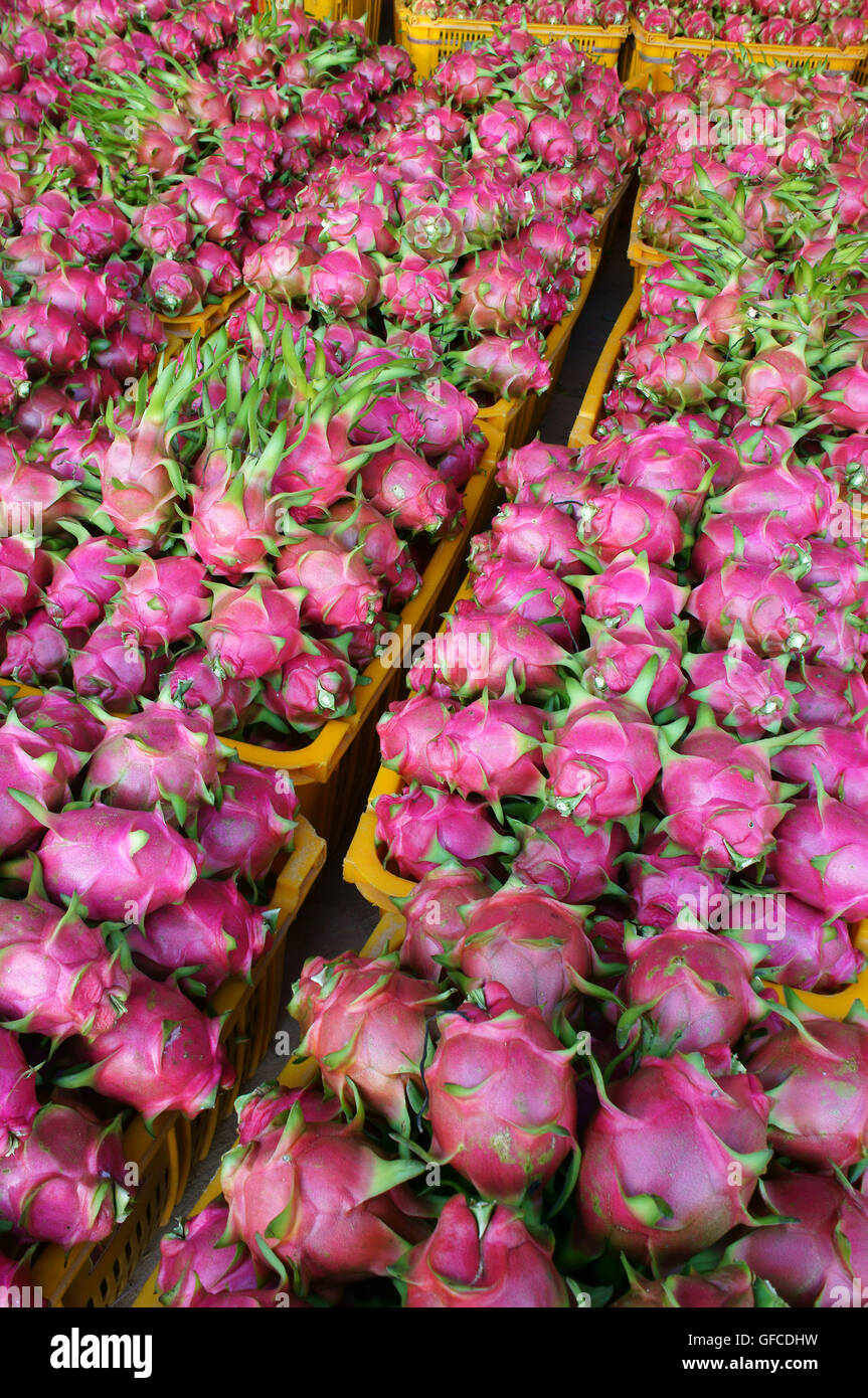 Vietnamese Dragon fruit, agricultural product, Binh Thuan,Vietnam