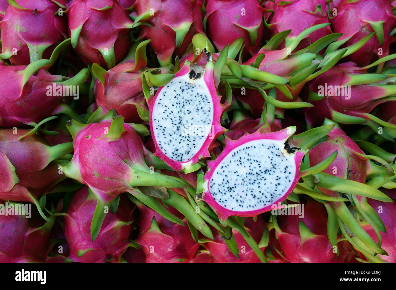 Vietnamese Dragon fruit, agricultural product, Binh Thuan,Vietnam