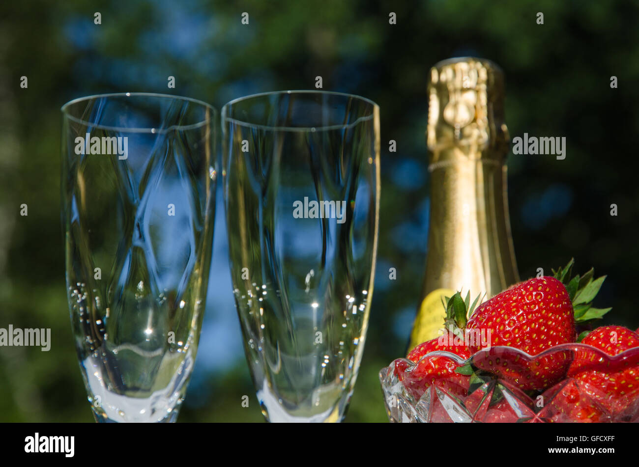 Top of champagne bottle, two glasses and a bowl of strawberries oudoors in a garden Stock Photo