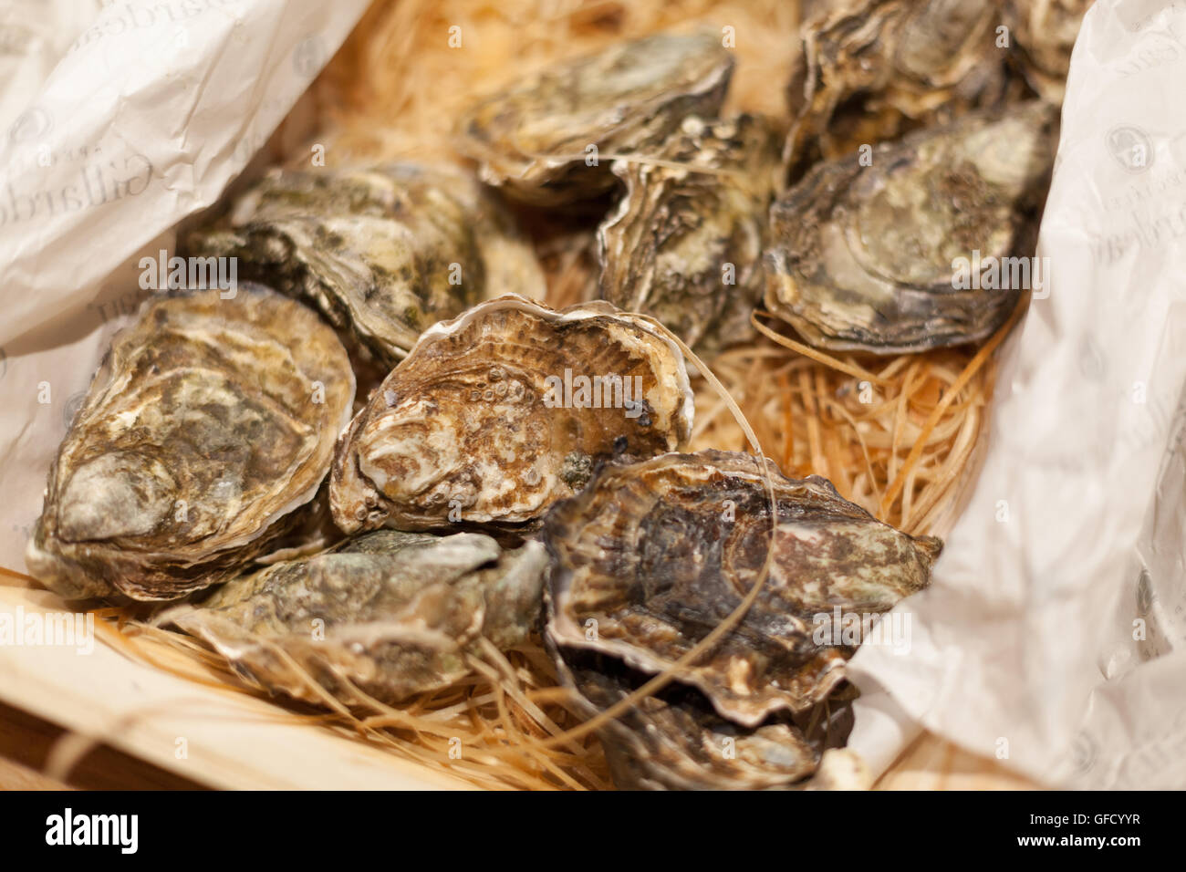 Display oysters for sale at a market stall, La Boqueria Market