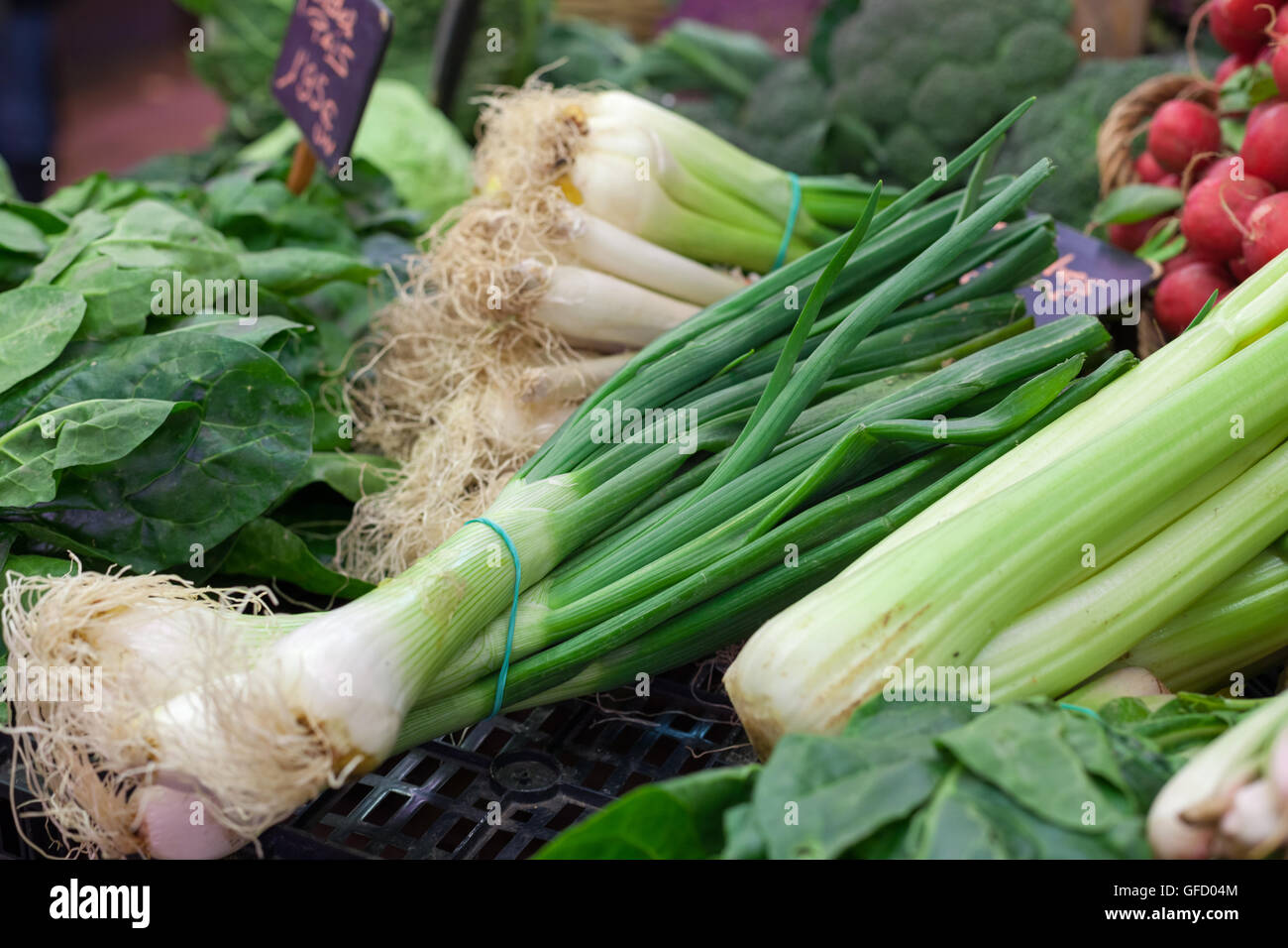 Closeup of organic green spring onions for sale at a market stall, La