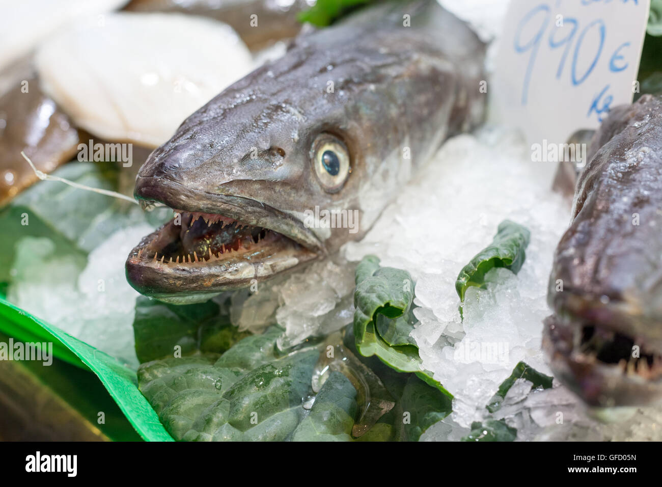 Three frozen fish for sale at a market, La Boqueria Market, Barcelona