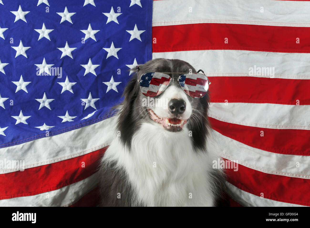 Australian Shepherd Patriotic House And Garden Flag 4th July US American Flag