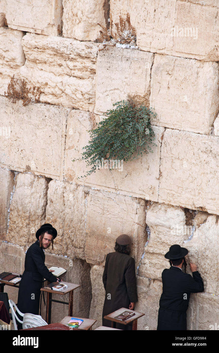 Jerusalem: Jewish men praying at the Western Wall, the Wailing Wall or Kotel, surviving remnant of the Temple Mount, the holiest place for Hebraism Stock Photo